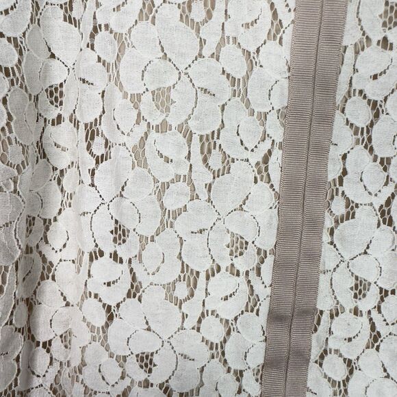 Ann Taylor Size 14P Sleeveless Lace Mid Dress Beige Ivory Lined‎ Overlay Elegant - Picture 4 of 14